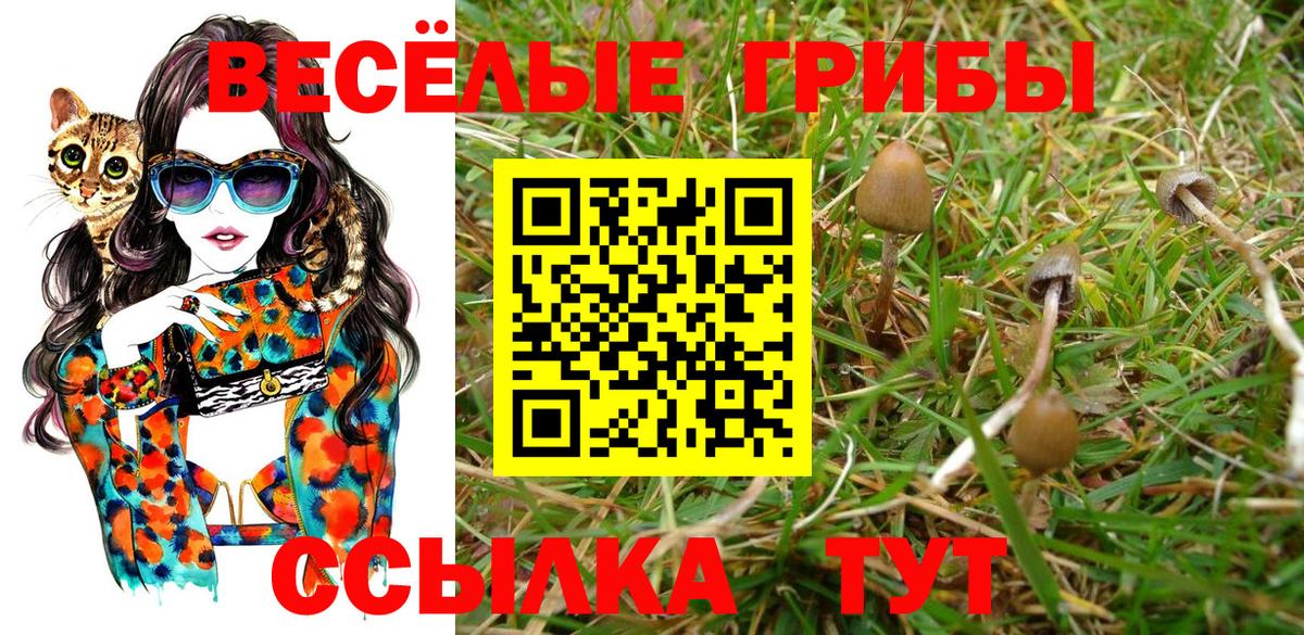 Псилоцибиновые грибы ЛСД  Псилоцибиновые грибы Cubensis  Малоярославец  где можно купить наркотик  Вход с VPN 